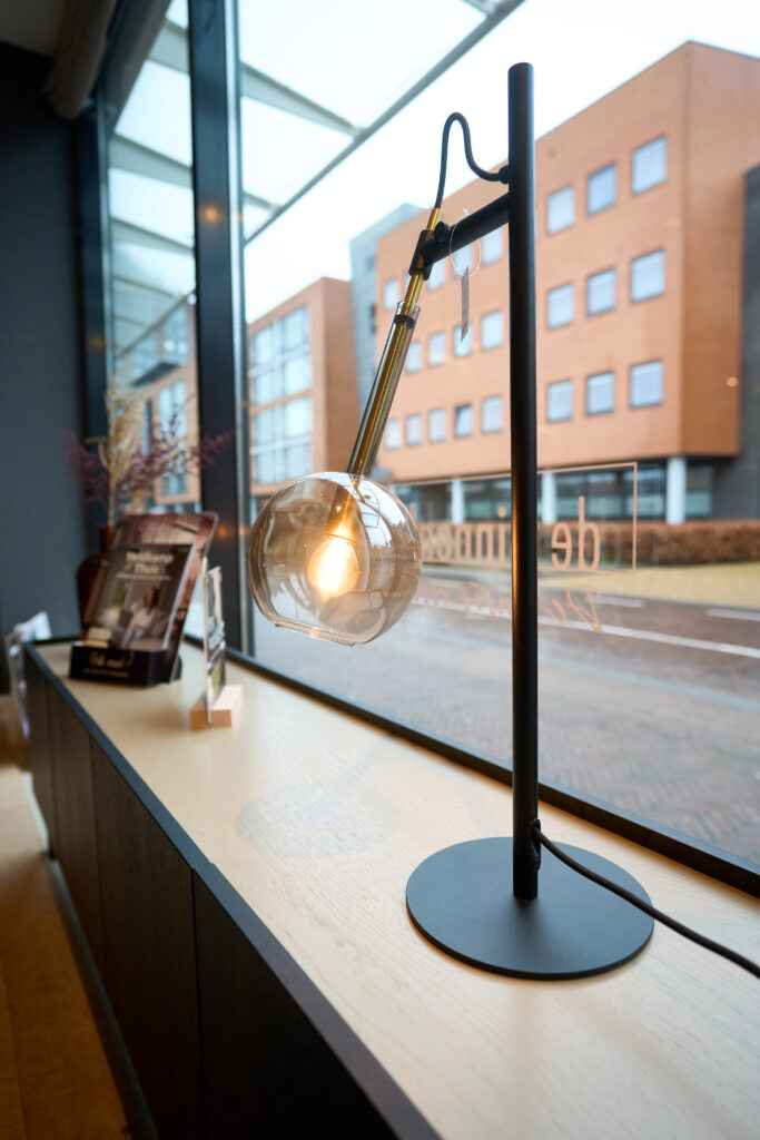 veldkamp thuis lamp luux licht globe 2